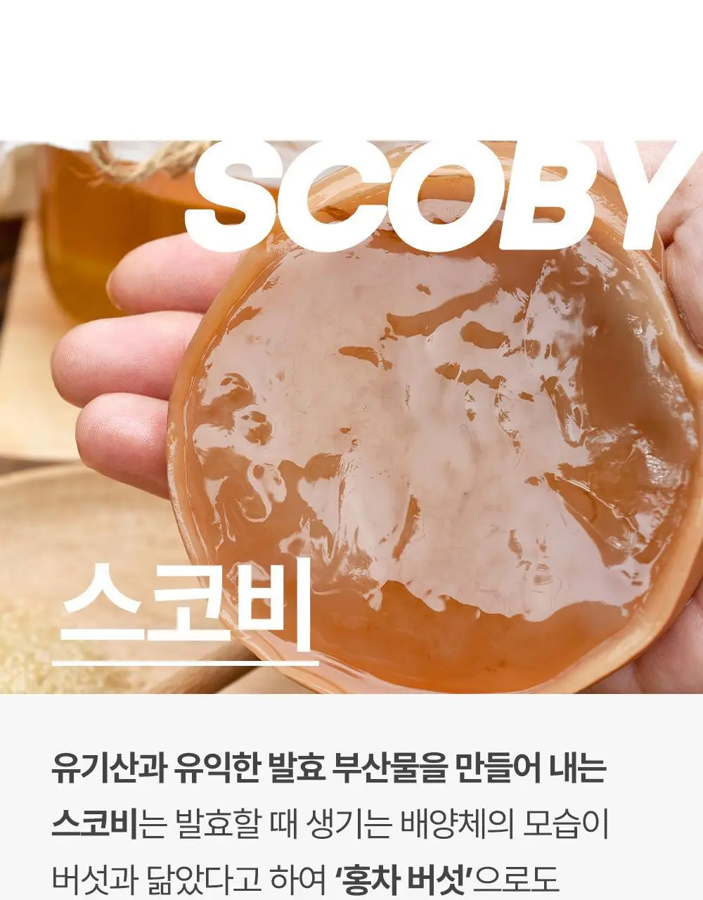[비건 콤부차] 그린몬스터 디톡 콤부차 10T 4종 택1(납작복숭아/블랙사파이어/석류히비스커스/패션후르츠) 상세페이지 15